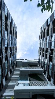 WV 30 Bright 2BR Escape - 5