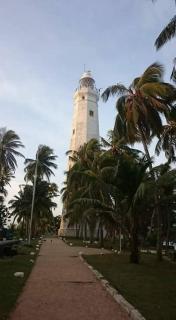 Purl bay homestay - 5