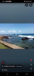 Purl bay homestay - 4