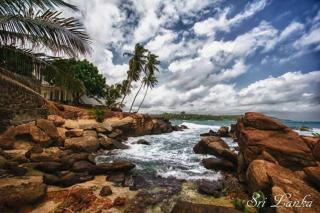 Purl bay homestay - 1