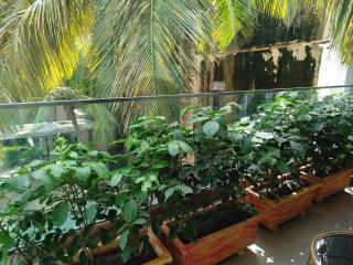 Yetou's Apartment - 7