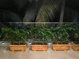 Yetou's Apartment - 5