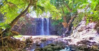 Gris Gris Apartment - 1