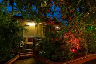 The Whistling Pine Woods - 6