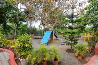 The Whistling Pine Woods - 5