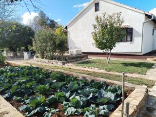 Holiday Home Višnja with Pool - 6