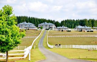 Elegant 4 ppl Villa nested in a picturesque town - 6