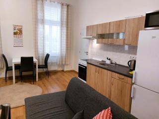 ČSA 3 Central City Apartment Hradec Králové - 1