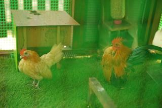 Calm & Airy 2BR - Legoland 3-min Drive - 3