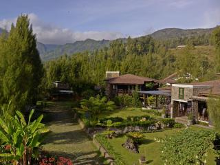 Jiwa Jawa Resort Bromo - Bromo - 0