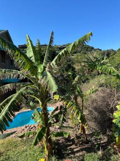 Onda Azul Back Unit - 1