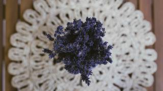 Zöldre Néző Vendégház - 5