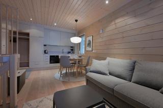 Levi Arctos - Modern Apartment near Levi Slopes - 5