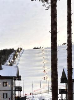 Levi Arctos - Modern Apartment near Levi Slopes - 9