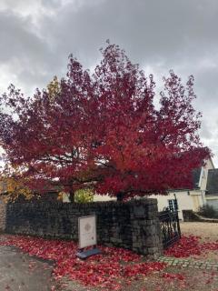 Hillhead Farm Bed and Breakfast - 8