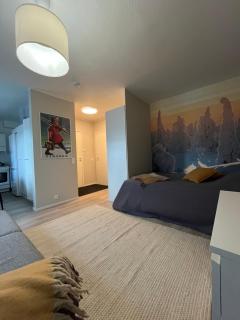 Modernly Renovated Northern Lapland Home, Free WiFi & Parking - 6