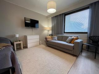 Modernly Renovated Northern Lapland Home, Free WiFi & Parking - 8