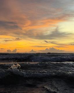 Pink Kangaroo Bungalows - 9