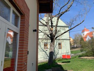 Lisovna-prázdninový dům s vinným sklepem - 9