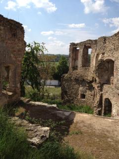 Lisovna-prázdninový dům s vinným sklepem - 1