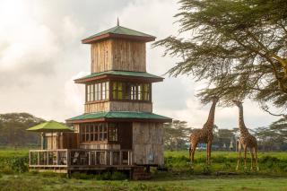 The Watch Tower 360 Safari Views & Stargazing - 8