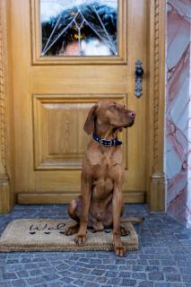 Ferienwohnungen Chiemgau - 1