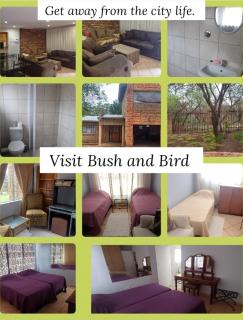 Bufflesdrift Bush and Birding - 4