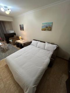 Cozy apartment in the heart of yerevan - 6