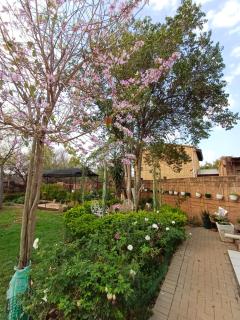 Bufflesdrift Bush and Birding - 2