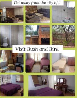 Bufflesdrift Bush and Birding - 1