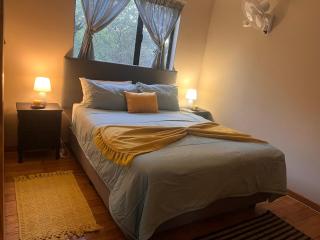 Erdvarkie at Kruger, Marloth Park - 6