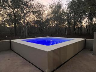 Erdvarkie at Kruger, Marloth Park - 6