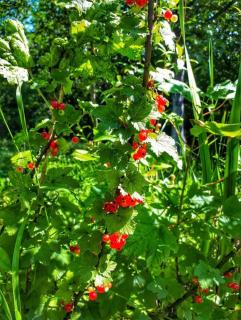 Dream weekend house - 3