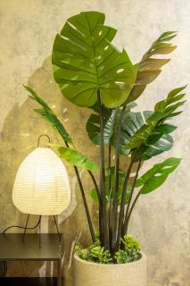 LowZ Staycation - D10 Saigon HCM - 6