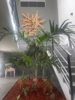 Modern Villa in Philipsburg with 450 m² and Pool - 7