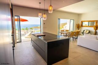 Modern Villa in Philipsburg with 450 m² and Pool - 6