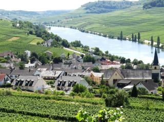 Weingut Pension Heinz Dostert - 5