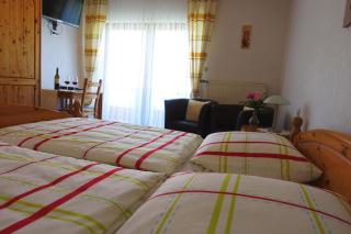 Weingut Pension Heinz Dostert - 4