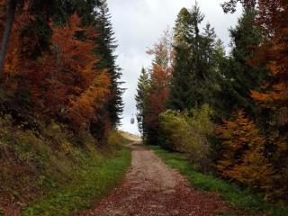 Sunnyside apartments - 7