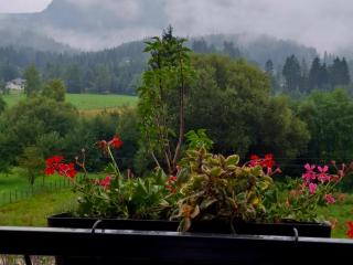 Sunnyside apartments - 8