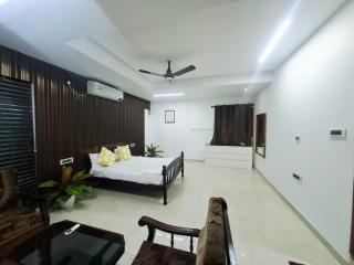 Cultura Luxury Penthouse near Novotal - 4