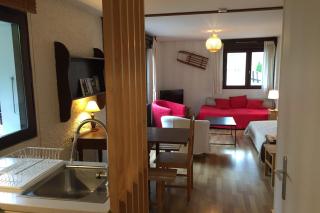 Apartment resort center ski-inski-out - 5