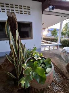 Pineapple Resort Sam roi yot - 3