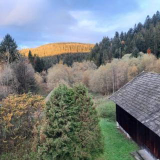 Krynica Zdrój - Dom nad wodą - 8