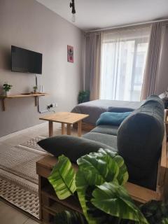 The SoBu Haus Cozy Studio Getaway - 2