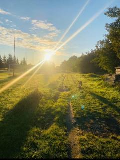 Doma na Lipníku-private country house, homestay - 8