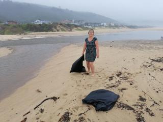 Glentana Hoboken Holiday Cottage - 5