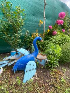 Doma na Lipníku-private country house, homestay - 6