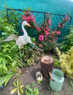 Doma na Lipníku-private country house, homestay - 5