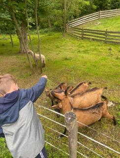 Doma na Lipníku-private country house, homestay - 3